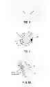 Fig. 02 - MAGNETORESISTIVE SENSOR SYSTEMS AND METHODS HAVING A YAW ANGLE BETWEEN PREMAGNETIZATION AND MAGNETIC FIELD DIRECTIONS