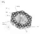 Fig. 01 - Electromagnetic band gap structure for enhanced scanning performance in phased array apertures