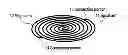 Fig. 01 - Spiral antenna