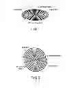 Fig. 02 - Spiral antenna