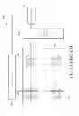 Fig. 02 - CAPACITIVE TOUCH SYSTEM AND METHOD OF OPERATING A CAPACITIVE TOUCH SYSTEM