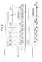 Fig. 03 - Hold type image display system