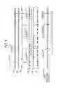 Fig. 07 - Hold type image display system
