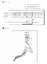 Fig. 06 - METHOD AND APPARATUS FOR CORRECTING CENTRAL LINE