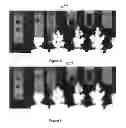 Fig. 07 - System and method for generating textured map object images