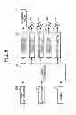 Fig. 06 - Image forming apparatus