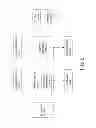 Fig. 02 - Dual-view image display device and dual-view image display method used for the same with nonlinear enlargement for obtaining fullscreen images