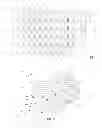 Fig. 02 - CONDUCTOR PATTERN STRUCTURE OF CAPACITIVE TOUCH PANEL