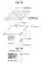 Fig. 02 - ELECTRONIC DEVICE WITH LIQUID CRYSTAL DISPLAY