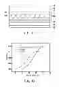 Fig. 07 - Liquid crystal display panel having positive blue phase liquid crystal layer