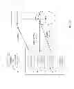 Fig. 02 - Process control using non-zero order diffraction