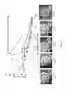 Fig. 10 - Agile imaging system