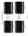 Fig. 11 - Agile imaging system