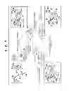 Fig. 07 - Image reading apparatus