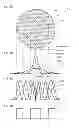 Fig. 06 - Amplification optical fiber, and optical fiber amplifier and resonator using same