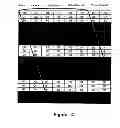 Fig. 05 - Method of autostereoscopic display on a screen having its largest dimension in a vertical direction