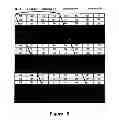 Fig. 06 - Method of autostereoscopic display on a screen having its largest dimension in a vertical direction