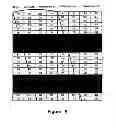 Fig. 10 - Method of autostereoscopic display on a screen having its largest dimension in a vertical direction