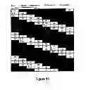 Fig. 16 - Method of autostereoscopic display on a screen having its largest dimension in a vertical direction