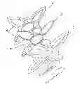 Fig. 01 - DECORATIVE ELEMENT