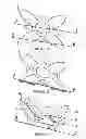 Fig. 08 - DECORATIVE ELEMENT