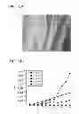 Fig. 15 - Conductive layered structure, electrode and supercapacitor comprising the conductive layered structure, and method for preparing the conductive layered structure