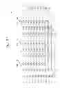 Fig. 25 - Nonvolatile memory device, programming method thereof and memory system including the same