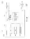 Fig. 07 - Method and apparatus for increasing yield