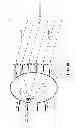 Fig. 16 - METHODS AND SYSTEMS FOR USING A BEAM-FORMING NETWORK IN CONJUNCTION WITH SPATIALLY MULTIPLEXED WIRELESS SIGNALS