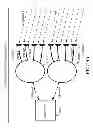 Fig. 29 - METHODS AND SYSTEMS FOR USING A BEAM-FORMING NETWORK IN CONJUNCTION WITH SPATIALLY MULTIPLEXED WIRELESS SIGNALS