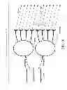 Fig. 32 - METHODS AND SYSTEMS FOR USING A BEAM-FORMING NETWORK IN CONJUNCTION WITH SPATIALLY MULTIPLEXED WIRELESS SIGNALS