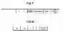 Fig. 06 - Communication device and route search method