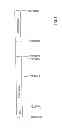 Fig. 02 - Method, base station and mobile station for TDD operation in a communication system
