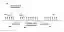 Fig. 01 - Multicarrier OFDM Transmission