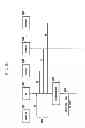 Fig. 08 - Resource allocation method and apparatus for cooperative transmission of base stations in wireless communication system