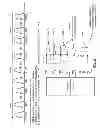 Fig. 14 - Scheduled clear to send (CTS) for multiple user, multiple access, and/or MIMO wireless communications
