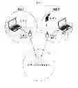 Fig. 01 - Method and apparatus of transmitting PPDU in wireless communication system