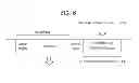 Fig. 07 - Method and apparatus for transmission of signal from device to device in a wireless communication system