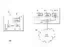 Fig. 01 - APPARATUS AND METHOD FOR COMMUNICATING USER EQUIPMENT SPECIFIC INFORMATION IN CELLULAR COMMUNICATION SYSTEM