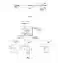Fig. 02 - FORWARDING A MULTICAST MESSAGE