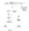 Fig. 15 - Channel estimation for low-overhead communication in a network