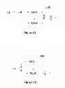 Fig. 07 - METHOD OF CODING A SEQUENCE OF IMAGES AND CORRESPONDING RECONSTRUCTION METHOD