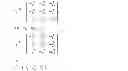 Fig. 24 - Multiple color channel multiple regression predictor