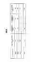 Fig. 06 - Partial expansion method of encoded images and image processing apparatus