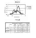 Fig. 16 - Optical fiber and optical transmission system