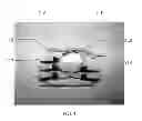 Fig. 04 - Polarity scheme for parallel-optics data transmission