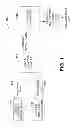 Fig. 02 - Spatial multiplexing for optical transmission