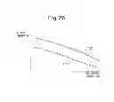 Fig. 19 - Exhaust purification system of internal combustion engine