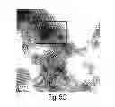 Fig. 08 - In situ synthesis of composite nanoscale particles