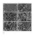 Fig. 02 - Manufacture of crystallite particles